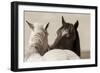 Nuzzles-KaCee Erle-Framed Premium Giclee Print