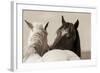 Nuzzles-KaCee Erle-Framed Art Print