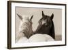 Nuzzles-KaCee Erle-Framed Art Print