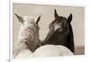 Nuzzles-KaCee Erle-Framed Premium Giclee Print