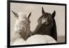 Nuzzles-KaCee Erle-Framed Premium Giclee Print