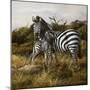 Nuzzling-Trevor V. Swanson-Mounted Giclee Print