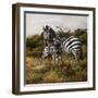 Nuzzling-Trevor V. Swanson-Framed Premium Giclee Print