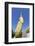 Nwa-La-Bo Pagoda Golden Rock and Pagoda Near Mawlamyine, Mon, Myanmar (Burma), Southeast Asia-Alex Robinson-Framed Photographic Print