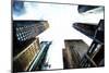 NY Bottom View-Philippe Hugonnard-Mounted Giclee Print