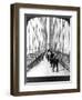 NY: Brooklyn Bridge, 1901-null-Framed Giclee Print