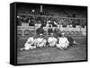 NY Giants and Cincinnati Reds Players, Baseball Photo - New York, NY-Lantern Press-Framed Stretched Canvas