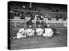 NY Giants and Cincinnati Reds Players, Baseball Photo - New York, NY-Lantern Press-Stretched Canvas