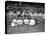 NY Giants and Cincinnati Reds Players, Baseball Photo - New York, NY-Lantern Press-Stretched Canvas