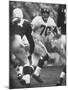 NY Giants Player Sam Huff-Francis Miller-Mounted Premium Photographic Print
