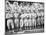 NY Giants Team, Baseball Photo No.1 - New York, NY-Lantern Press-Mounted Art Print