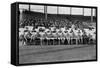 NY Giants Team, Baseball Photo No.4 - New York, NY-Lantern Press-Framed Stretched Canvas