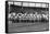 NY Giants Team, Baseball Photo No.4 - New York, NY-Lantern Press-Framed Stretched Canvas