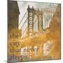 NY Gold Bridge at Dusk II-Dan Meneely-Mounted Art Print