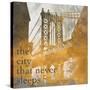NY Gold Bridge at Dusk II-Dan Meneely-Stretched Canvas