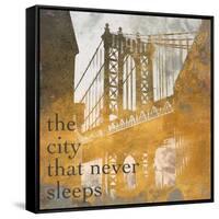 NY Gold Bridge at Dusk II-Dan Meneely-Framed Stretched Canvas