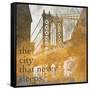 NY Gold Bridge at Dusk II-Dan Meneely-Framed Stretched Canvas