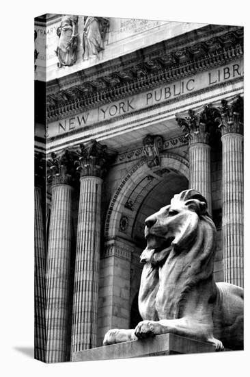NY Public Library III-Jeff Pica-Stretched Canvas