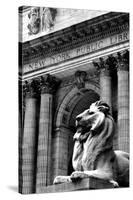 NY Public Library III-Jeff Pica-Stretched Canvas