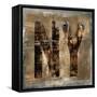 NY Revealed-Luke Wilson-Framed Stretched Canvas