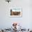 NY Skyline-Philippe Hugonnard-Framed Giclee Print displayed on a wall