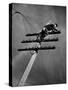 NY Telephone Co. Lineman Wallace Burdick Repairs Telephone Lines Between Valhalla and Brewster-Margaret Bourke-White-Stretched Canvas