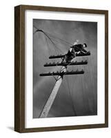 NY Telephone Co. Lineman Wallace Burdick Repairs Telephone Lines Between Valhalla and Brewster-Margaret Bourke-White-Framed Photographic Print