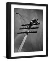 NY Telephone Co. Lineman Wallace Burdick Repairs Telephone Lines Between Valhalla and Brewster-Margaret Bourke-White-Framed Photographic Print