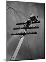 NY Telephone Co. Lineman Wallace Burdick Repairs Telephone Lines Between Valhalla and Brewster-Margaret Bourke-White-Mounted Photographic Print