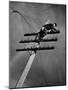 NY Telephone Co. Lineman Wallace Burdick Repairs Telephone Lines Between Valhalla and Brewster-Margaret Bourke-White-Mounted Photographic Print