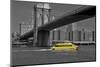 Ny Water Taxi under Brooklyn Bridge-Phil Maier-Mounted Photographic Print