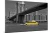 Ny Water Taxi under Brooklyn Bridge-Phil Maier-Mounted Photographic Print