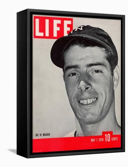 NY Yankee slugger Joe DiMaggio, May 1, 1939-Carl Mydans-Framed Stretched Canvas