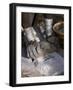 Nyagatom Woman Grinds Sorghum Using Two Stones, Omo River, South-Western Ethiopia-John Warburton-lee-Framed Photographic Print