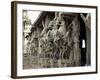 Nyak, Near Tiruchapali, Srirangam, Tamil Nadu State, India-Sybil Sassoon-Framed Photographic Print