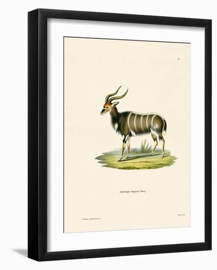 Nyala-null-Framed Giclee Print