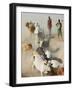 Nyangatom Herdsmen Leading Cattle over Arid Plain to Omo River, Omo River Valley, Ethiopia-Alison Jones-Framed Photographic Print