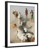 Nyangatom Herdsmen Leading Cattle over Arid Plain to Omo River, Omo River Valley, Ethiopia-Alison Jones-Framed Photographic Print