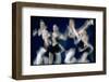 NYC Ballet Performing in "Requiem Canticles" for Stravinsky Festival at New York State Theater-Gjon Mili-Framed Photographic Print