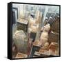 NYC Bird's Eye View I-Giampaolo Pasi-Framed Stretched Canvas
