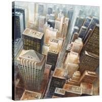 NYC Bird's Eye View I-Giampaolo Pasi-Stretched Canvas
