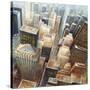 NYC Bird's Eye View I-Giampaolo Pasi-Stretched Canvas