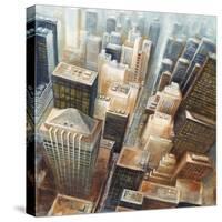 NYC Bird's Eye View I-Giampaolo Pasi-Stretched Canvas