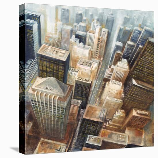 NYC Bird's Eye View I-Giampaolo Pasi-Stretched Canvas