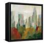NYC Central Park II-Silvia Vassileva-Framed Stretched Canvas