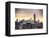 NYC Cityscape with the One World Trade Center (1WTC) at Sunset-Philippe Hugonnard-Framed Stretched Canvas