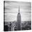 NYC Empire-Nina Papiorek-Stretched Canvas