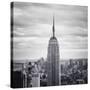 NYC Empire-Nina Papiorek-Stretched Canvas