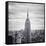 NYC Empire-Nina Papiorek-Framed Stretched Canvas