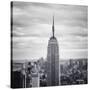 NYC Empire-Nina Papiorek-Stretched Canvas